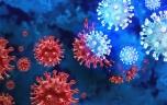 Covid-19 : l’infection peut-elle réveiller les virus qui sommeillent en nous ?