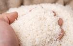 Rappel de produits : attention, ces paquets de riz pourraient contenir des larves vivantes 