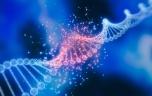Les mutations génétiques ne seraient pas toujours à l'origine des tumeurs