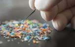Microplastiques : plus un seul cerveau épargné ? 