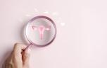 Pourquoi la fertilité des femmes chute-t-elle brutalement après 32 ans ?