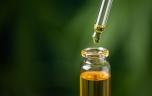 Le CBD peut-il vraiment ralentir Alzheimer ?