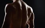 Pourquoi la testostérone ne suffit pas toujours à construire du muscle
