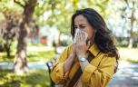 Allergies respiratoires : 