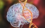 Dépression : la cause génétique se précise