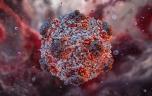 Hantavirus : quels sont les critères pour être désigné cas contact ?