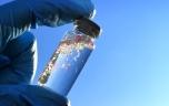Salmonella : comment les microplastiques augmentent le risque d’intoxication alimentaire ?