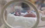 Méningite chez les nouveaux-nés : une technique pour désactiver l’agent pathogène chez la mère 
