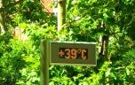 Canicule : derrière les records de chaleur, un record de décès