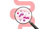 Microbiote : l’importance des 1.000 premiers jours d’un enfant 