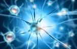 Un réparateur d’ADN pour traiter Alzheimer ?
