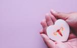 Les fibromes utérins sont liés à un risque accru de maladies cardiaques