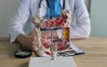 Cancer colorectal : sommes-nous tous égaux ?