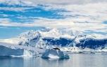 Mélanome : la clé d’un traitement pourrait se cacher dans les fonds de l'Antarctique