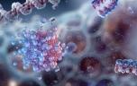 Cancer du pancréas : cette propriété des moules, promesse d’un traitement efficace ?