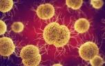 Gonorrhée résistante aux médicaments : une hausse des cas inquiétante en Europe