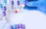 Cytomégalovirus : ce qui change dans la prise en charge des femmes enceintes