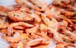 Les crevettes sont-elles un danger pour l’Homme ?