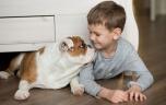 Le chien aide le traitement des enfants atteints de trouble du langage