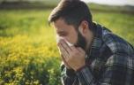 Allergie aux pollens : la France dans le rouge à l’exception du nord