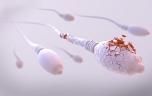 Fertilité : la pollution de l’air altère l'ADN des spermatozoïdes 