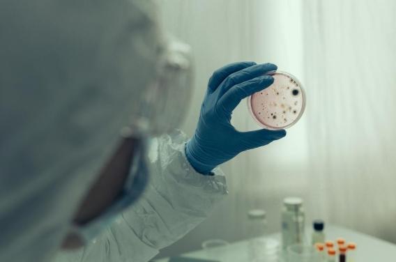 Des chercheurs découvrent comment les virus  ...