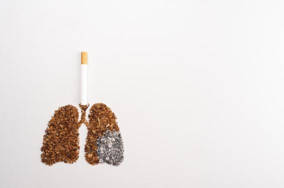 Les vrais dégâts que le tabac provoque sur  ...