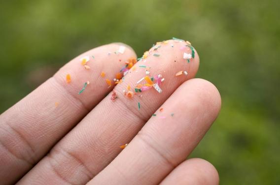 Des microplastiques dans le corps : un risque accru pour le foie ?
