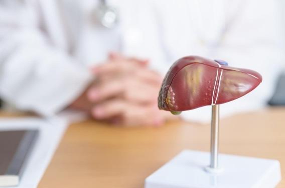 Maladie du foie gras : près de 2 milliards de personnes menacées 