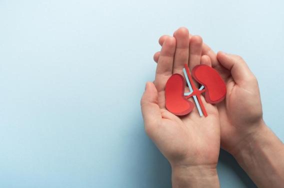 Maladies rénales : et si la moitié de la population était moins bien soignée sans le savoir ?