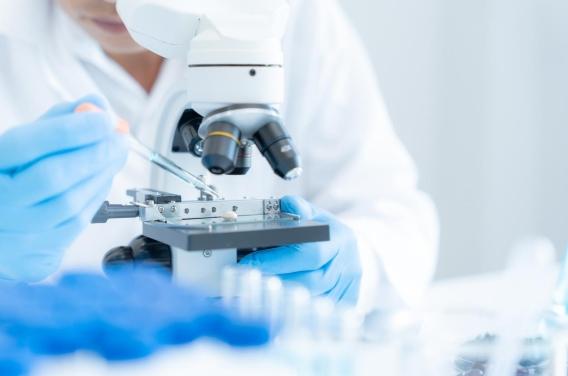 Cancer : pourquoi les succès en laboratoire ...