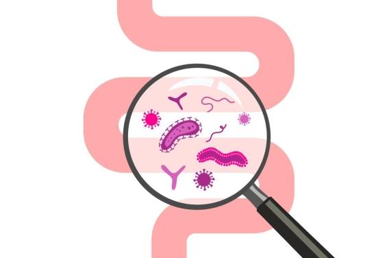 Microbiote : l’importance des 1.000  ...