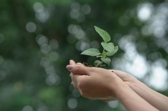 One Health : notre santé dépend aussi de celle de la planète