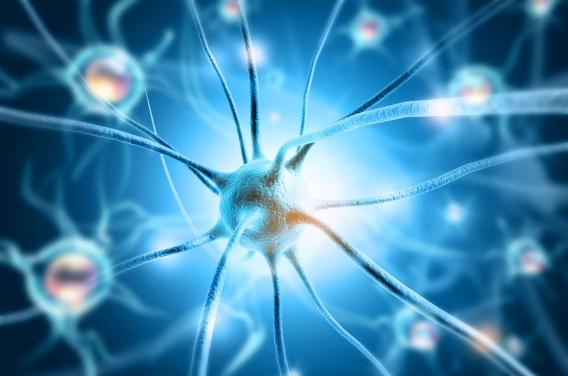 Un réparateur d’ADN pour traiter Alzheimer ...