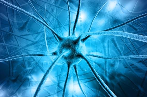 Alzheimer : une protéine pourrait favoriser la propagation de la maladie
