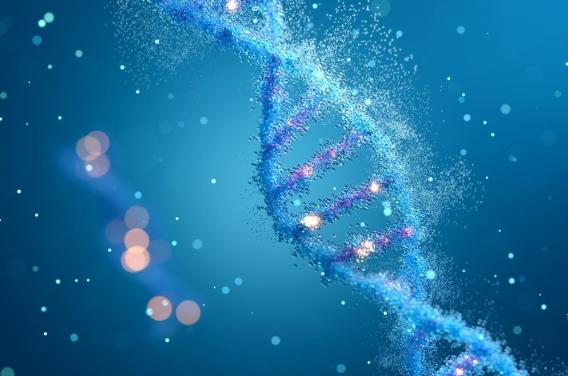 Parkinson : pourquoi les hommes sont plus  ...