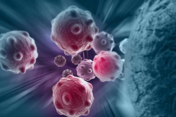 Cancers du sang : une nouvelle méthode vaccinale pour une immunothérapie plus efficace ?