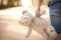 Enfant en danger : pourquoi il ne faut jamais garder un doute pour soi
