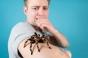 Arachnophobie : cette technique peut vous aider à vaincre votre peur !