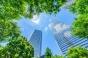 Mort précoce : planter des arbres en ville réduit les risques d’un tiers