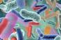 Diabète de type 2 : l’analyse du microbiote peut prédire le risque 