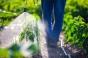 Pesticides, PFAS, cadmium... 