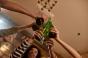 Quel niveau de consommation d’alcool menace votre foie ?
