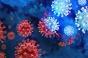 Covid-19 : l’infection peut-elle réveiller les virus qui sommeillent en nous ?