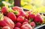 Manger des fraises améliore la santé mentale et cognitive