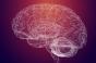 Que se passe-t-il dans le cerveau lorsque notre esprit vagabonde ? 