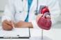 Infarctus, insuffisance cardiaque : un gène spécifique peut aider le cœur à se réparer