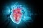 On sait pourquoi le cœur n’est pas touché par le cancer 