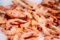 Les crevettes sont-elles un danger pour l’Homme ?