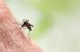 Épidémie de dengue : plus de 1.000 morts au Bangladesh cette année